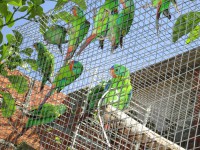 /album/amantedeaves-webnode-pt/img-0219-jpg/